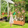 Raised Garden Bed with Trellis and Hanging Roof-Natural